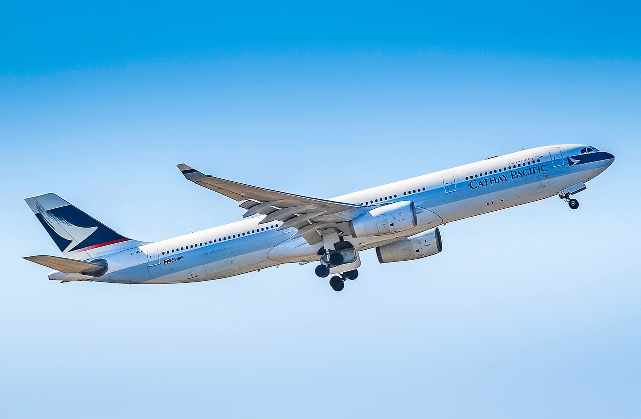 Sampdoria's Final Training: Stankovic Resolves Doubts for Coppa Italia